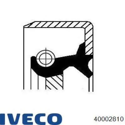 Сальник коленвала двигателя задний IVECO 40002810