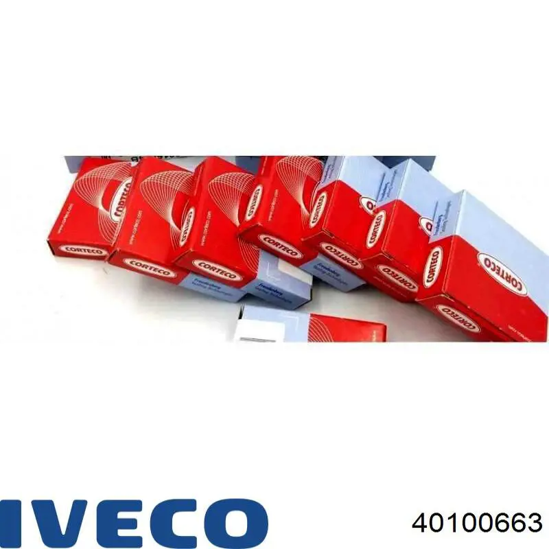  40100663 Iveco