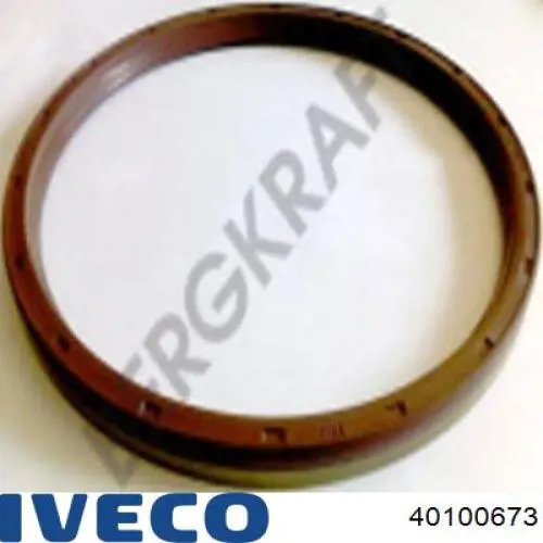 Сальник задней ступицы 40100673 Iveco