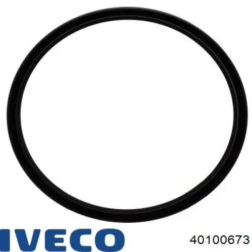 40100673 Iveco Сальник ступичный