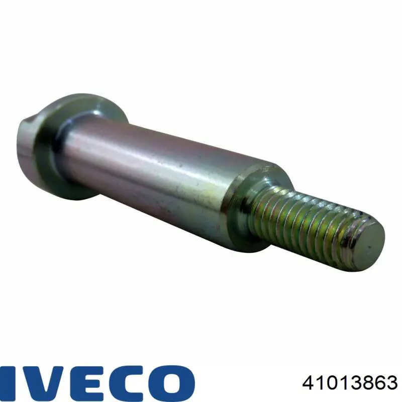 41013863 Iveco 