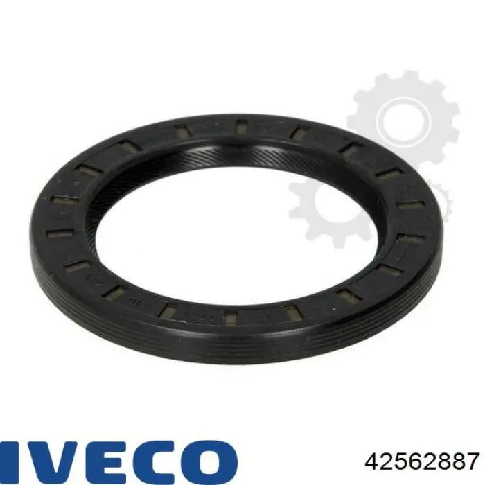 42562887 Iveco 