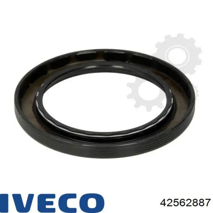 42562887 Iveco 