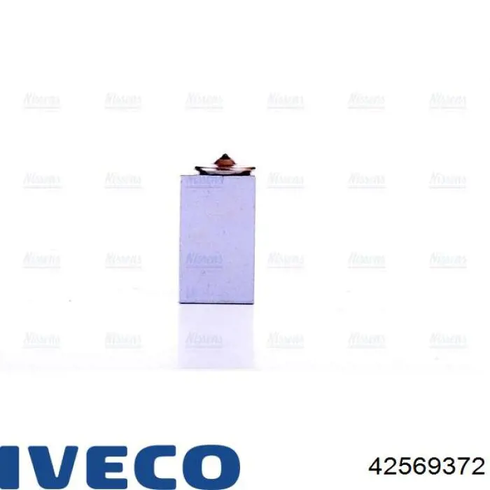 42569372 Iveco 