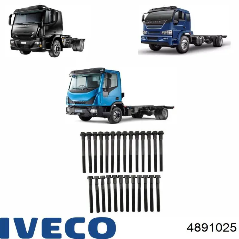 4891025 Iveco Болт крепления головки блока цилиндров