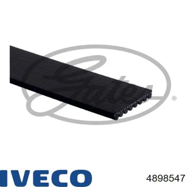 4898547 Iveco Поликлиновый ремень