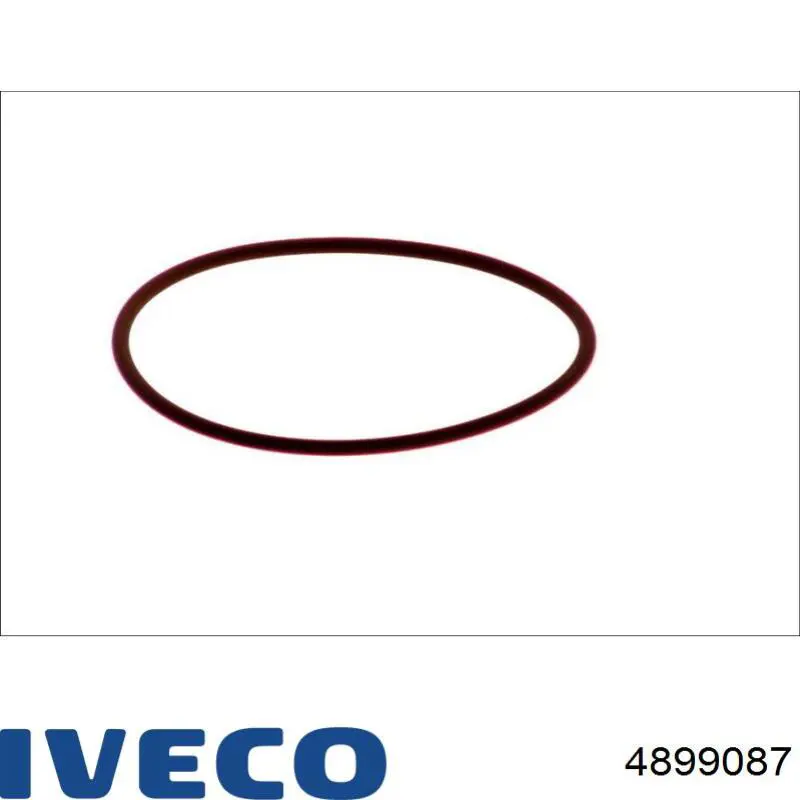  4899087 Iveco