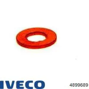 4899689 Iveco