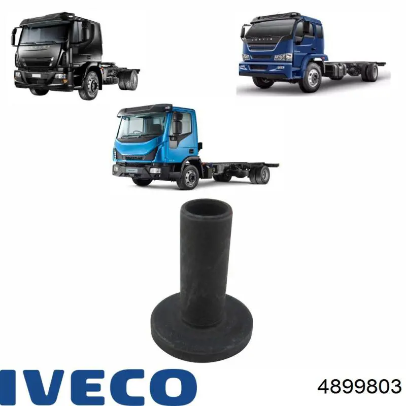 4899803 Iveco 