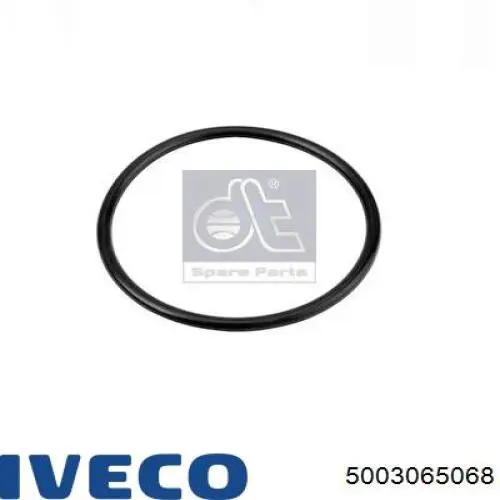  5003065068 Iveco