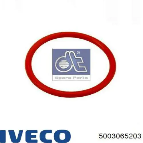  5003065203 Iveco