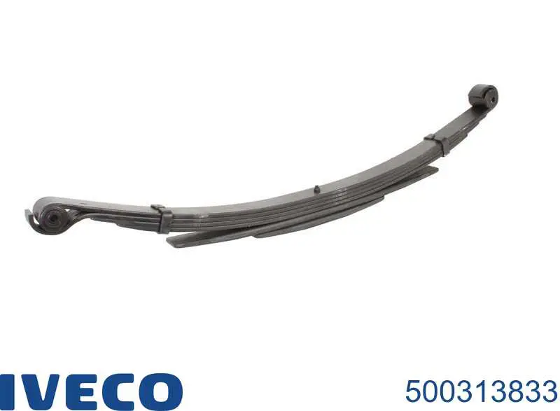  500313833 Iveco