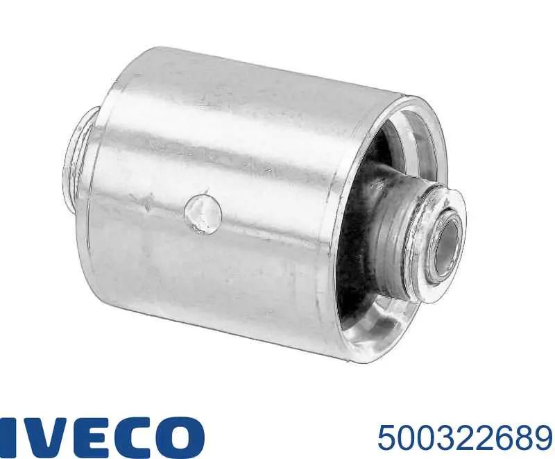  500322689 Iveco