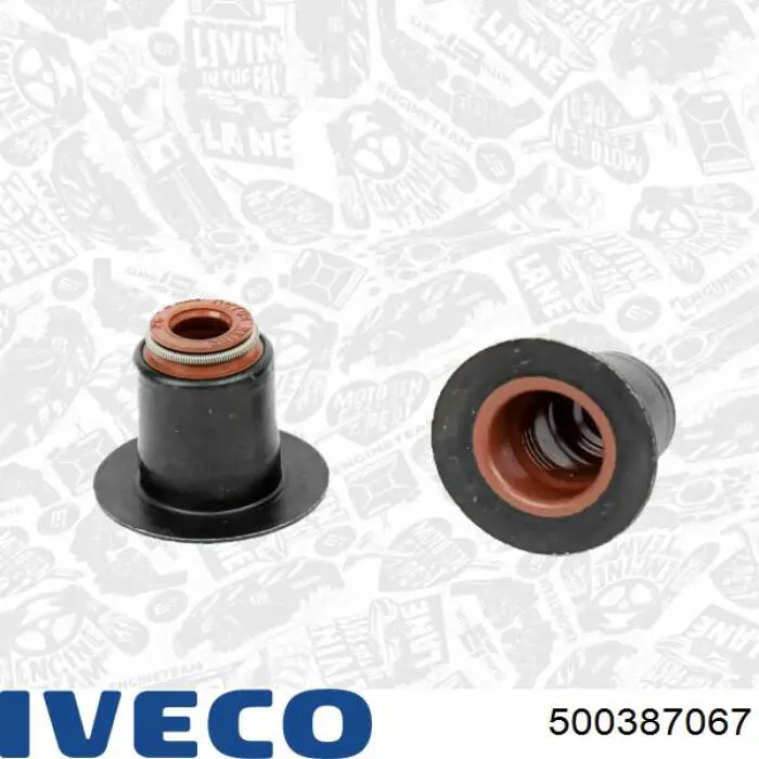 500387067 Iveco Прокладка головки блока