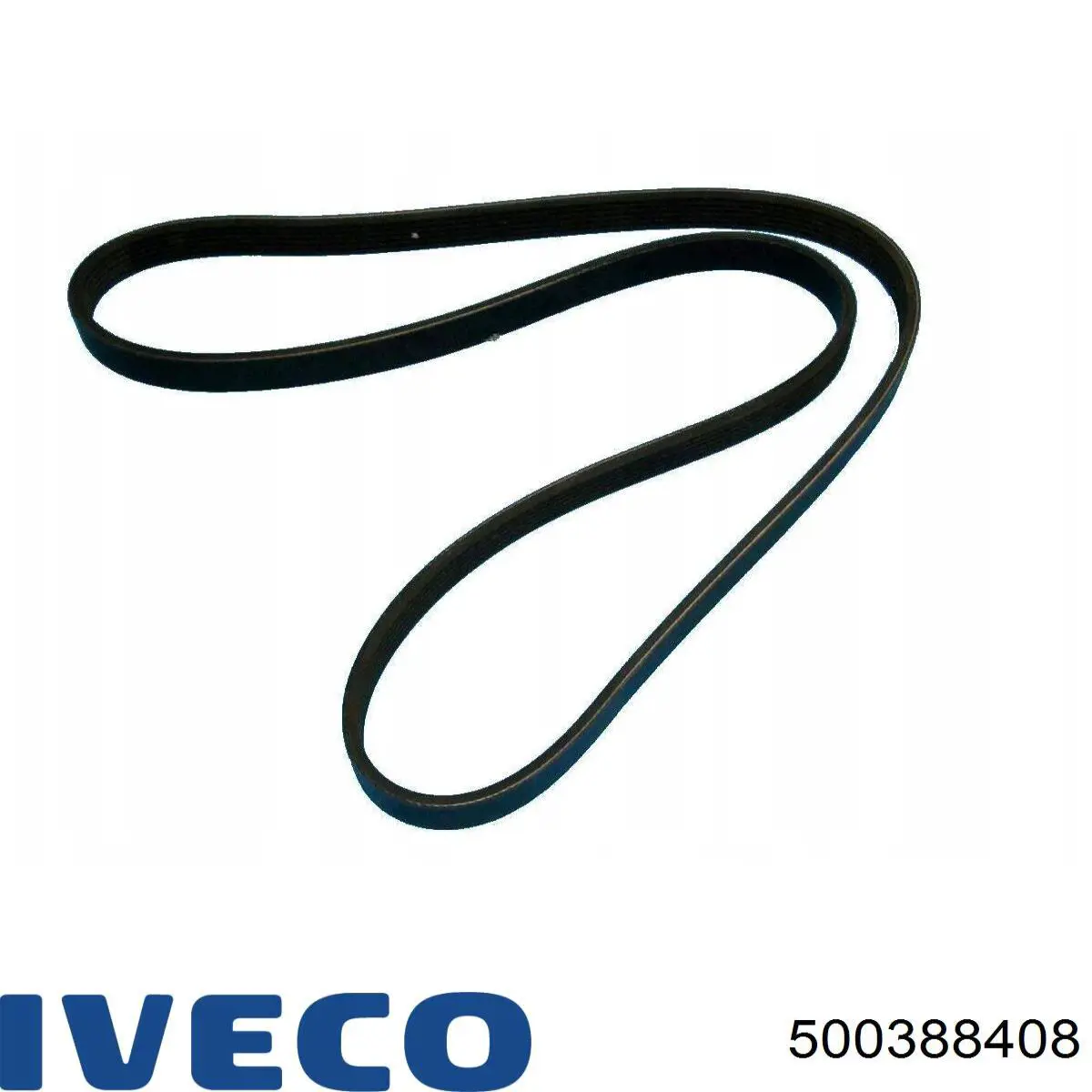 Ремень генератора 500388408 Iveco