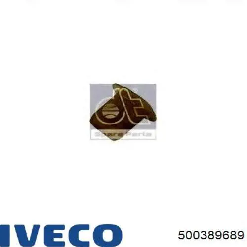 500389689 Iveco 