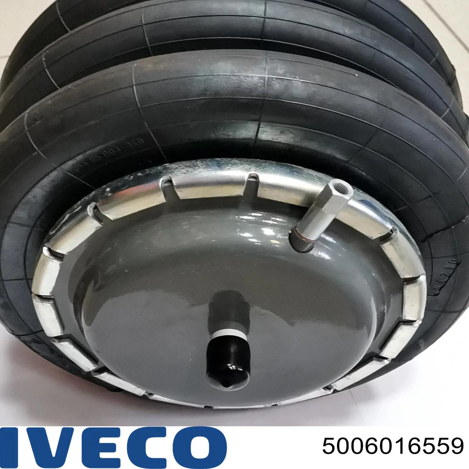  5006016559 Iveco