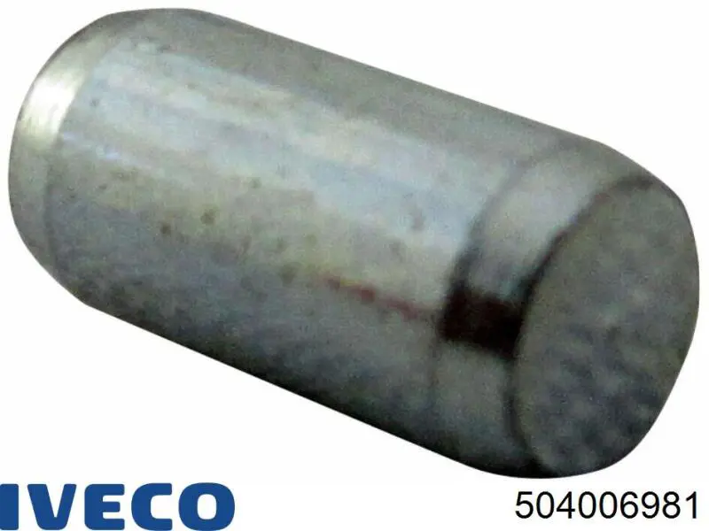  Fiat/Alfa/Lancia 504006981 цена, от 1.77 USD