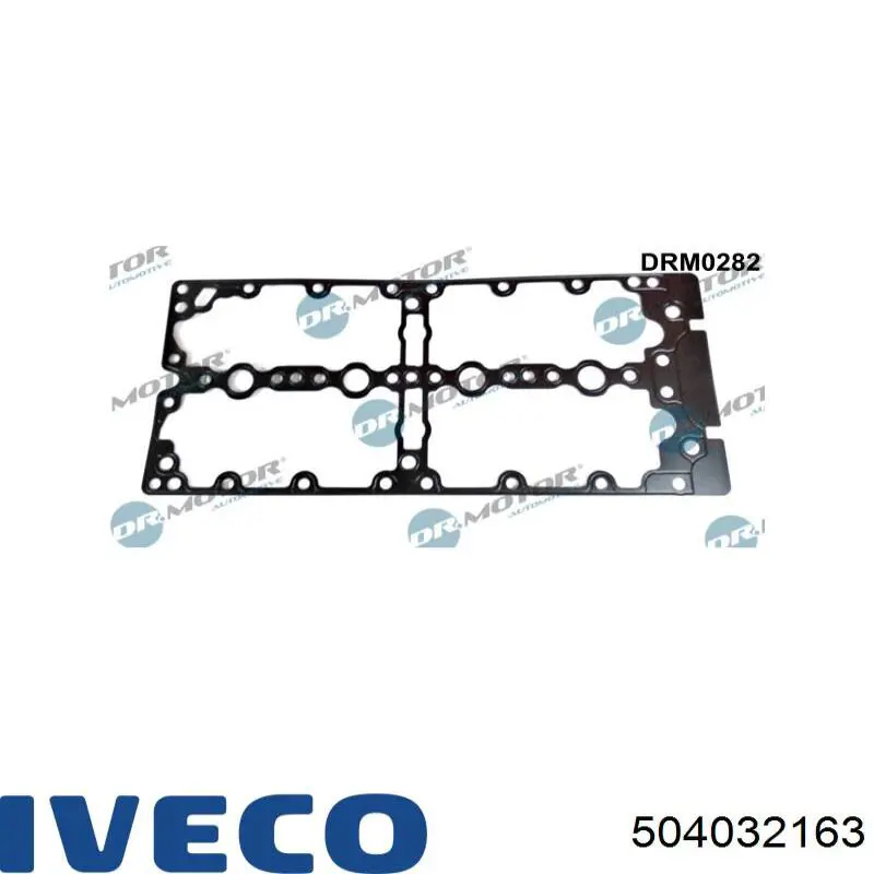 Ремкомплект форсунки 504032163 Iveco