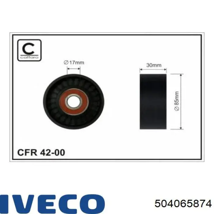 504065874 Iveco Натяжитель клинового ремня