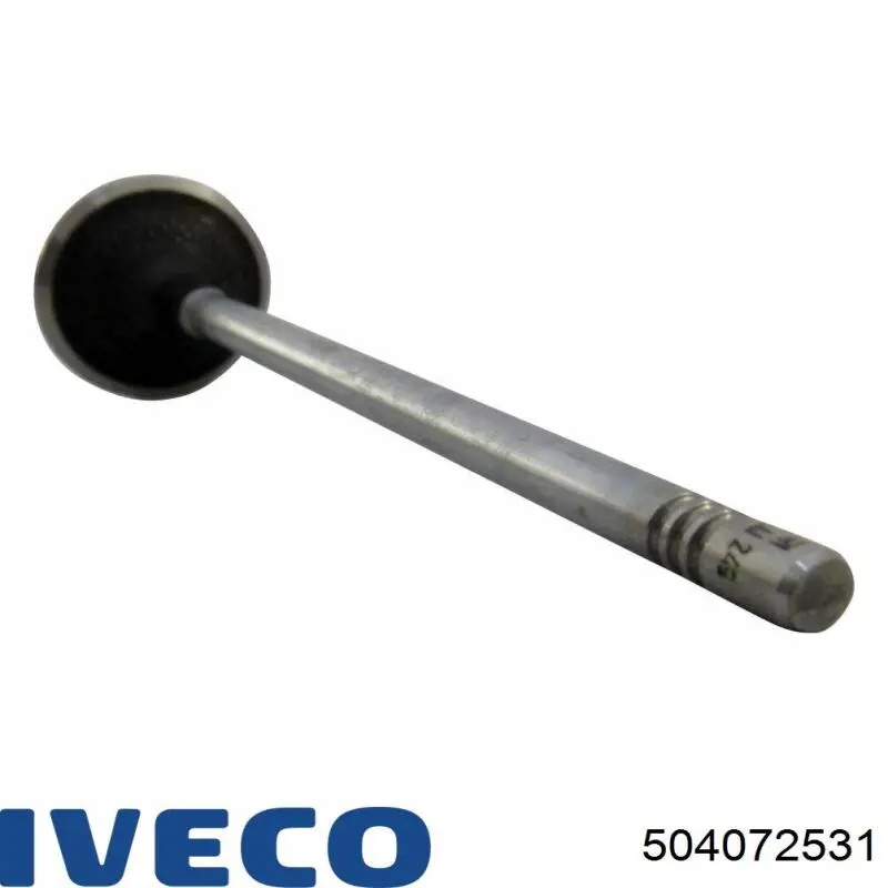 Впускной клапан ORK504072531 GP
