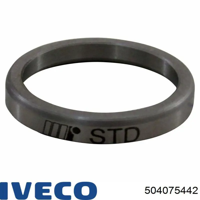  504075442 Iveco