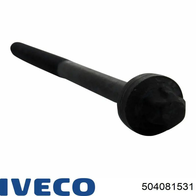 504081531 Iveco 