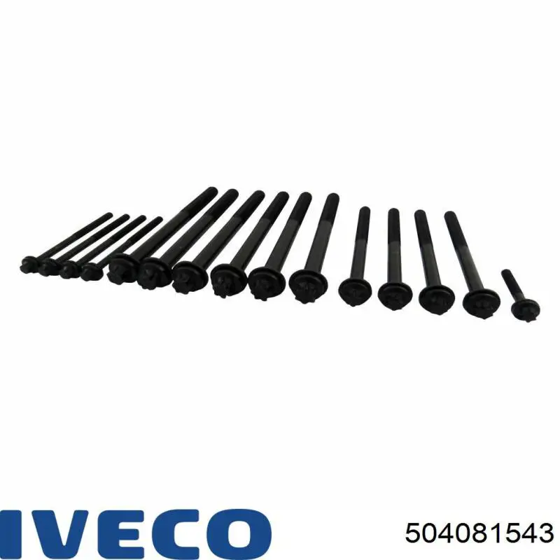Болт головки блока цилиндров Fiat/Alfa/Lancia 504081543