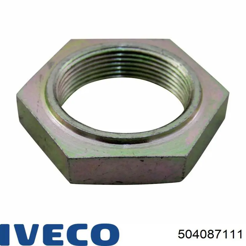 504087111 Iveco 