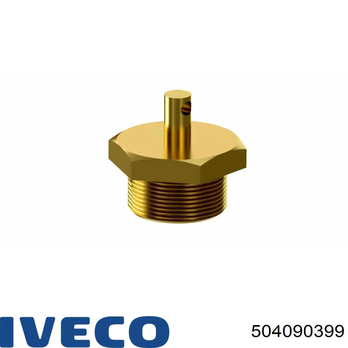 504090399 Iveco