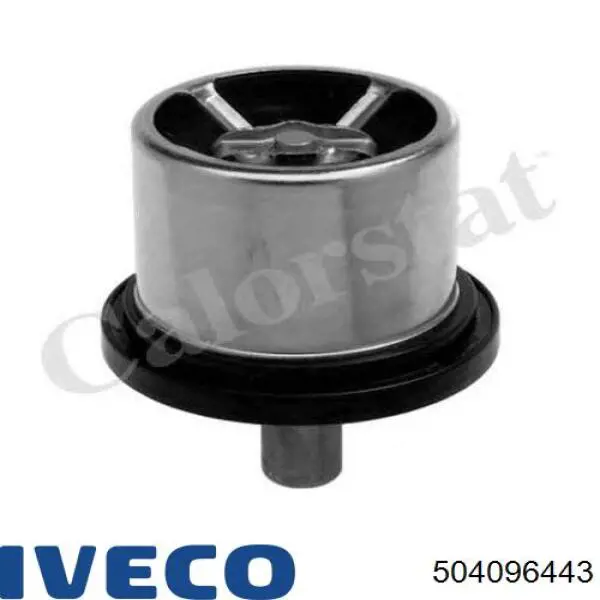  504096443 Iveco