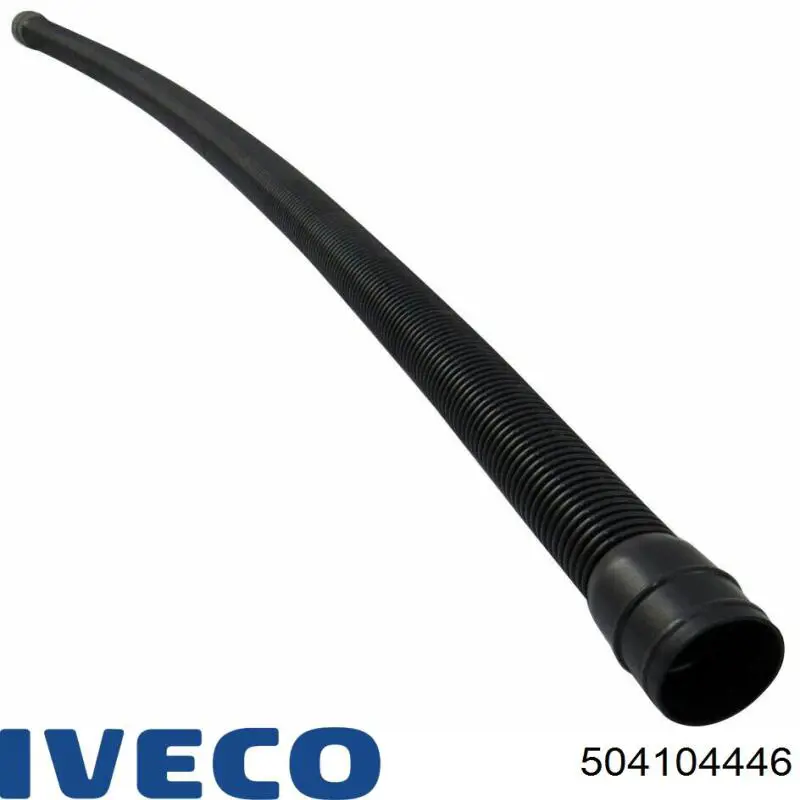 504104446 Iveco 