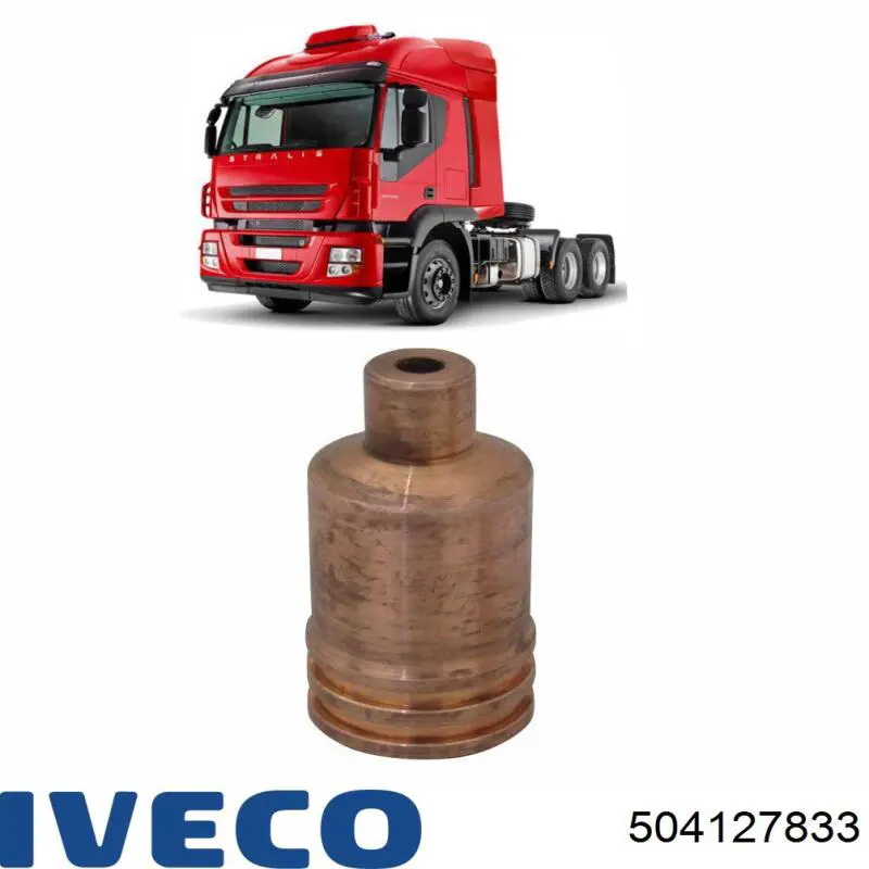  504127833 Iveco