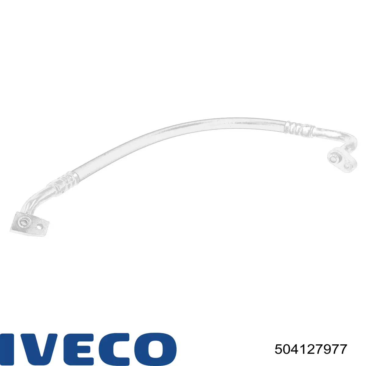 504127977 Iveco 