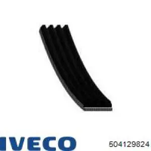 Ремень генератора 504129824 Iveco