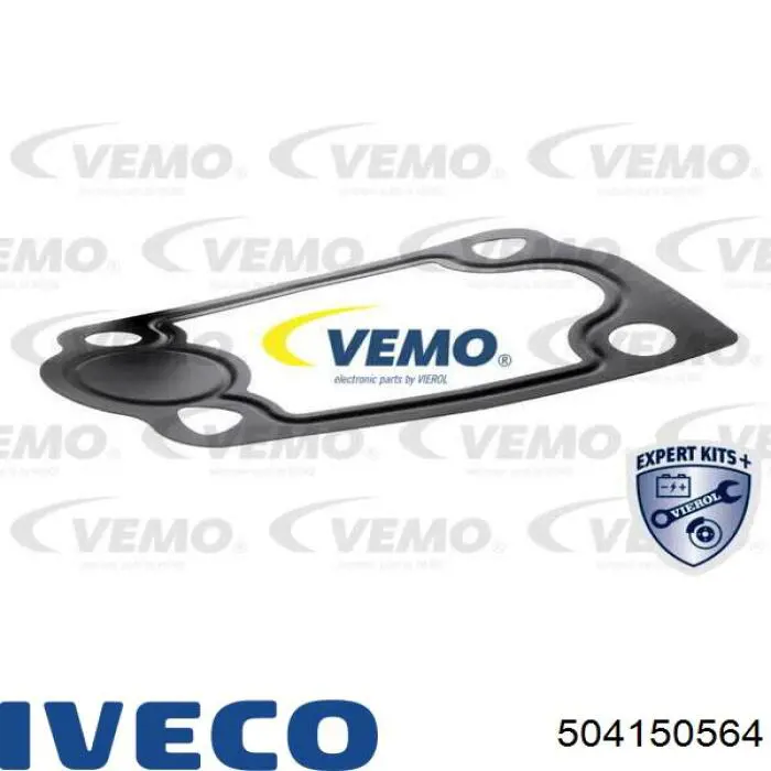 504150564 Iveco 