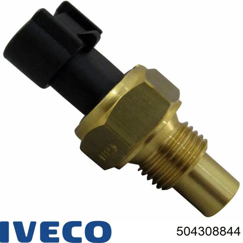504308844 Iveco 