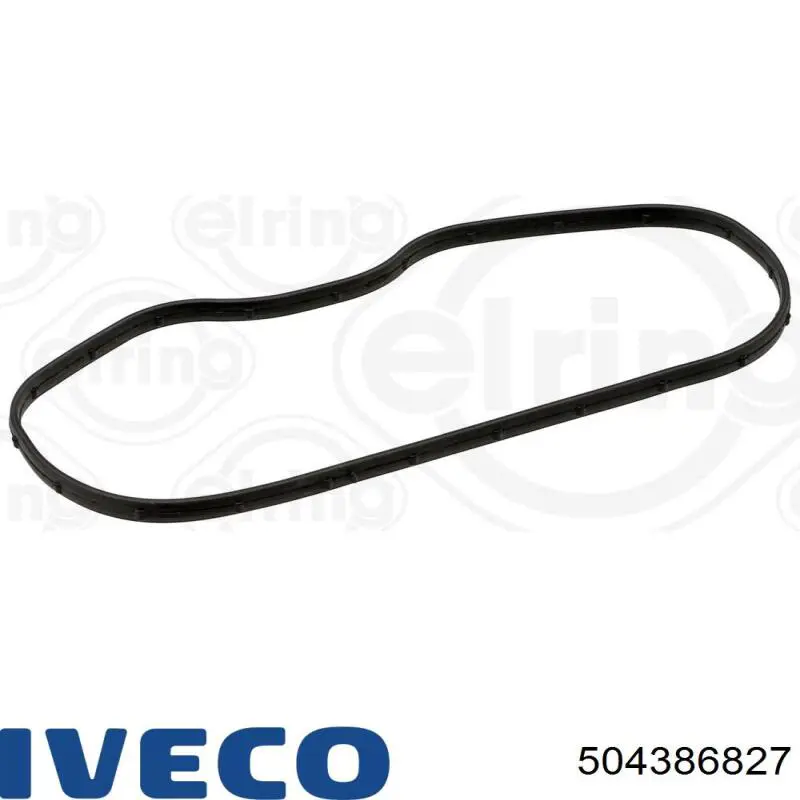  504386827 Iveco