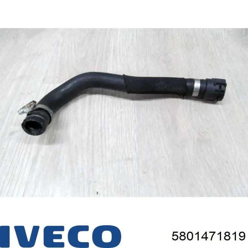  5801471819 Iveco