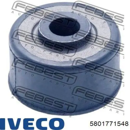  5801771548 Iveco