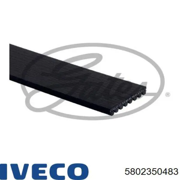 Ремень генератора 5802350483 Iveco