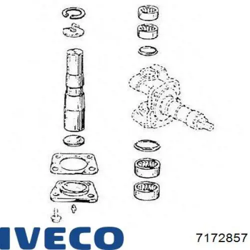 7172857 Iveco Ремкомплект шкворня поворотного кулака