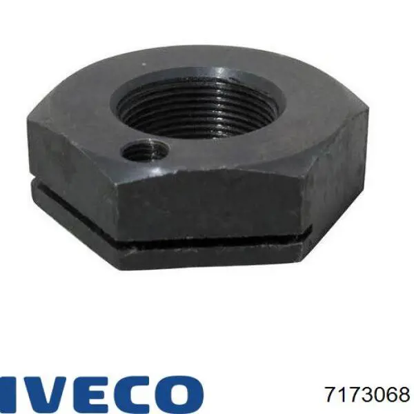 7173068 Iveco
