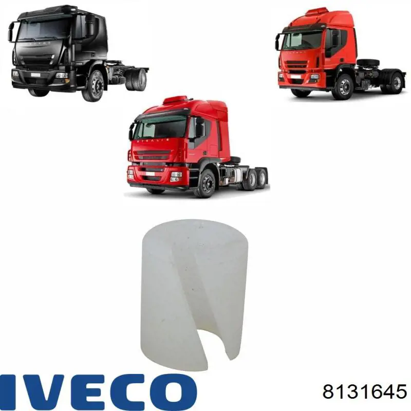 8131645 Iveco 