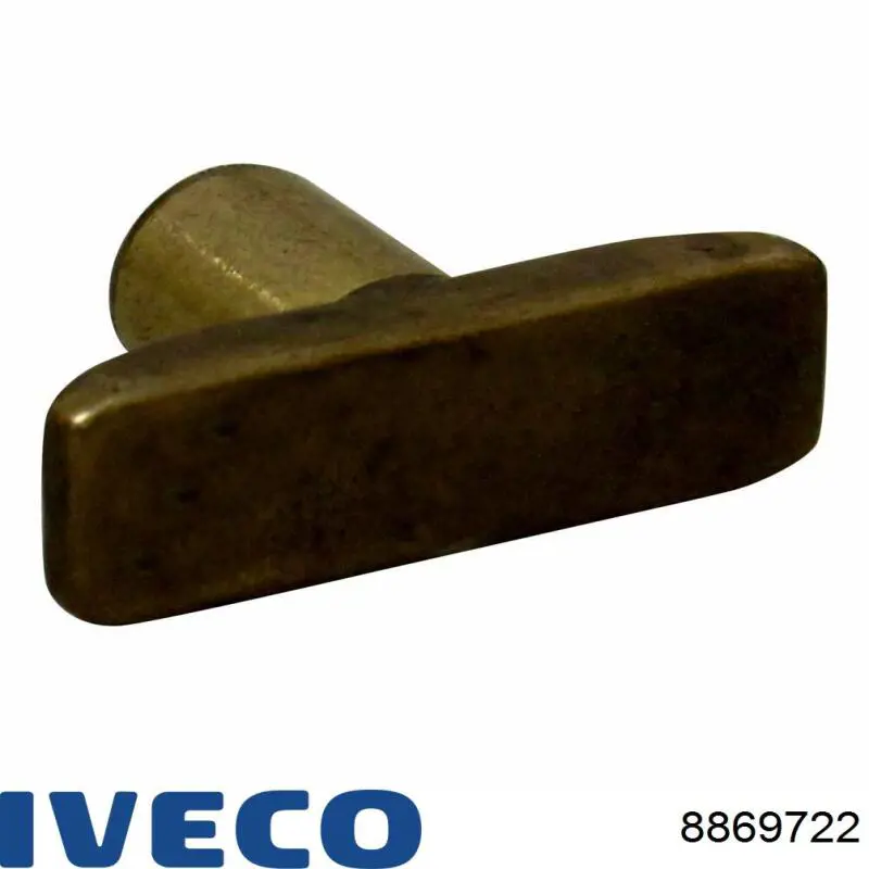 8869722 Iveco 
