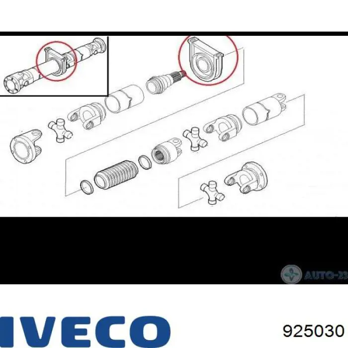 Карданный подшипник Iveco 925030 цена, от 29.25 USD