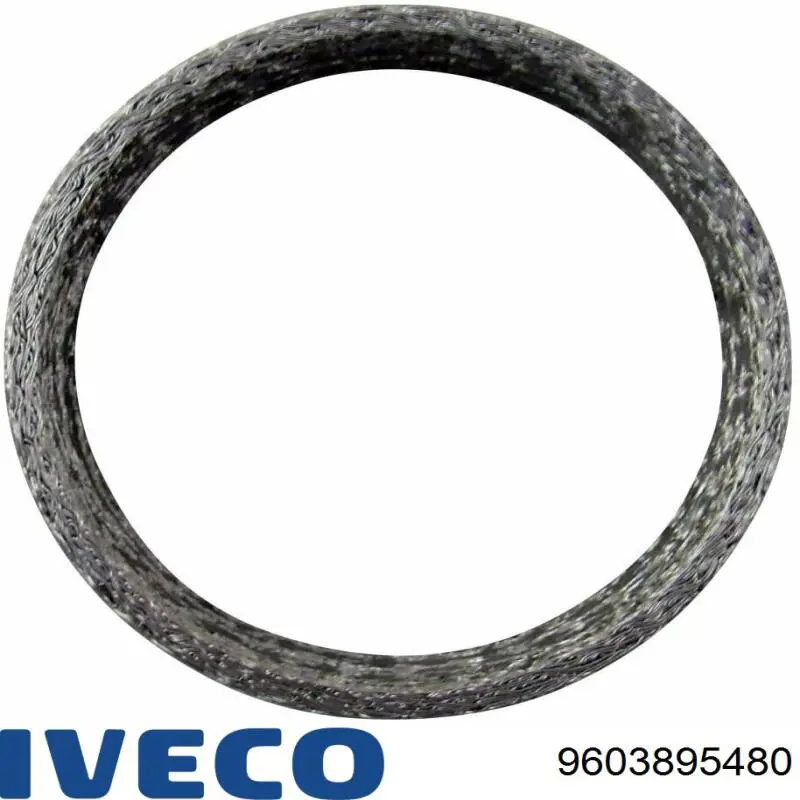 9603895480 Iveco Прокладка штанов