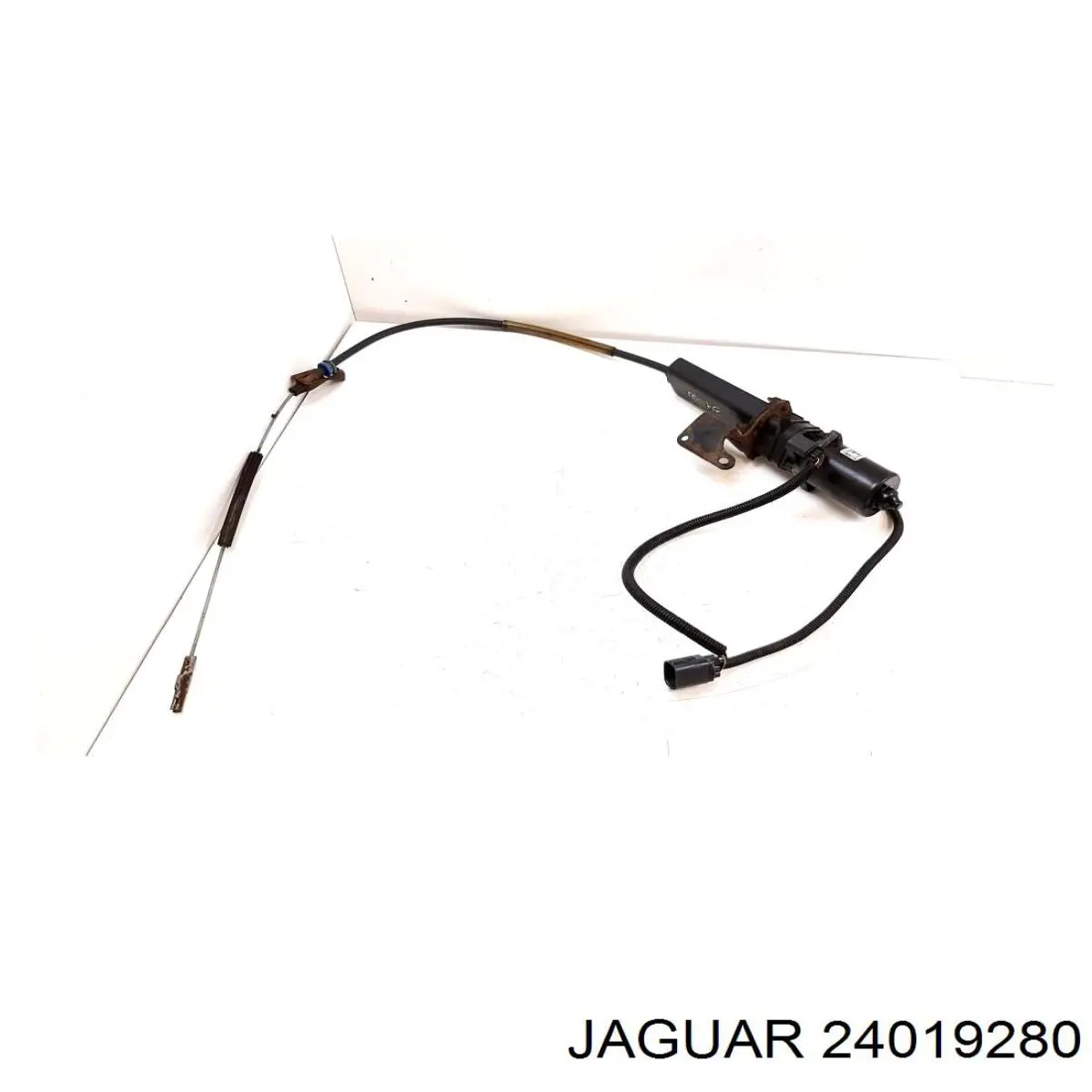  24019280 Jaguar