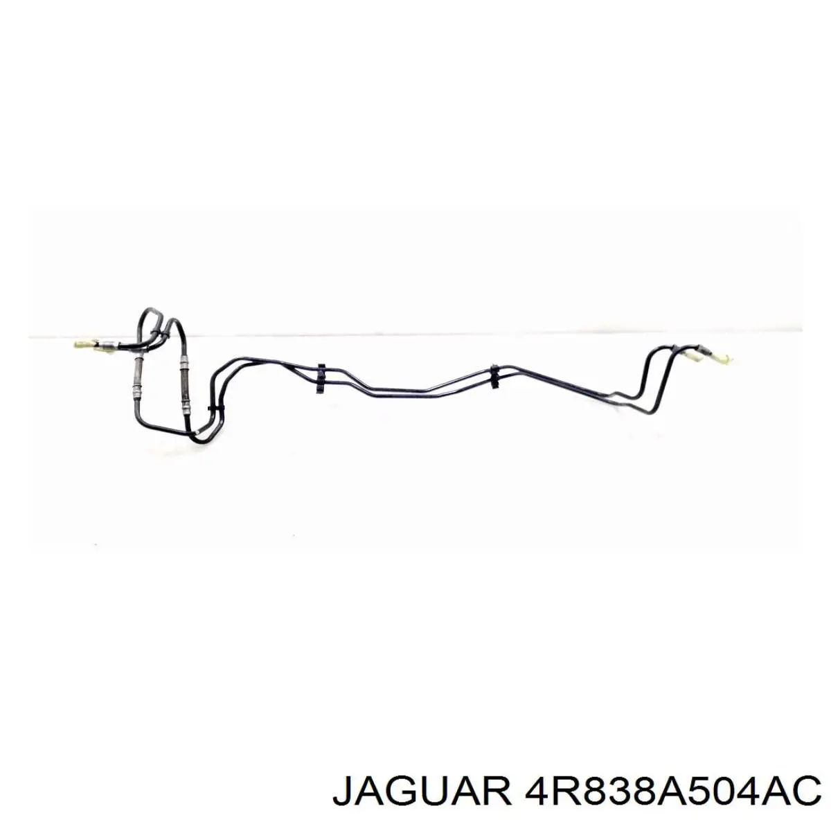 4R838A504AC Jaguar 