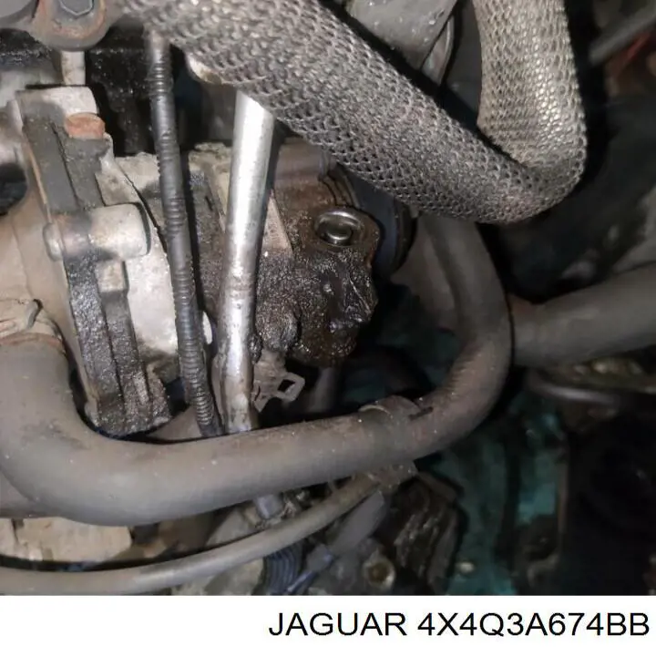  4X4Q3A674BB Jaguar